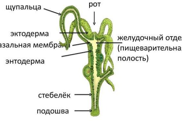 Ссылка на omg